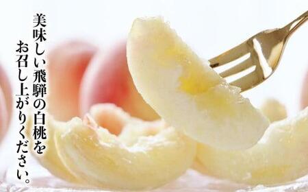 【先行受付】2026年8月発送 桃 飛騨もも 2kg 5～6玉入り | もも モモ 飛騨高山 糖度 甘い 2キロ 果物 白鳳 昭和白桃 など 夏 くだもの お取り寄せ 上広瀬果樹組合 GJ001