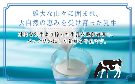 飛騨牛乳 フルーツ牛乳 詰め合わせ パックジュース  乳製品 飛騨産　飛騨高山　  TR3121 　