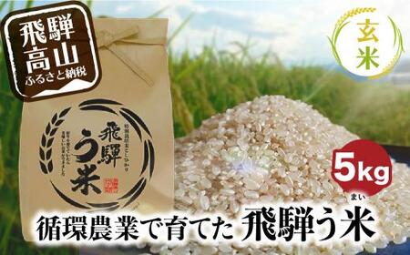 【数量限定/先行受付】令和6年産 飛騨う米 玄米 5kg | 有機肥料100％ 米 お米 受賞米 米コン3年連続特別優秀賞受賞米 飛騨高山 株式会社拳 TR3201