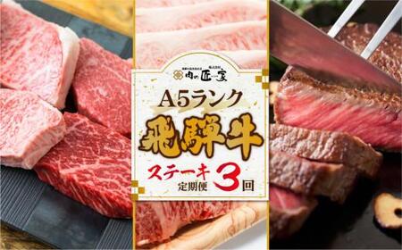 【定期便 3ヶ月】＜全3回＞ A5飛騨牛 ステーキ（ヒレ／ロース／ランプ／サーロイン）| 肉 牛肉 飛騨牛 黒毛和牛 サーロインステーキ 飛騨高山 肉の匠家 BV103