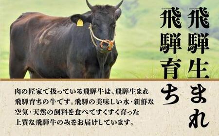 肉の匠家 飛騨牛 定期便 肉 6回  ( ステーキ 焼肉 すき焼き ヒレ ランプ ) ・ 霜降り 食べ比べ 牛 お肉 肉の匠家 TR3347