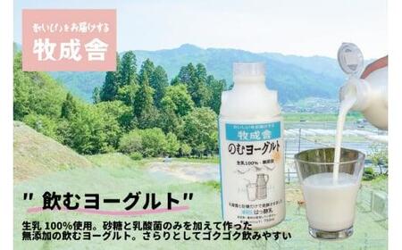 【 6ヶ月 定期便 】飛騨の牛乳屋こだわり （牛乳 3本 飲むヨーグルト 2本 セット）×6回 低温殺菌 6回 無添加 牧成舎 飛騨高山 TR3335