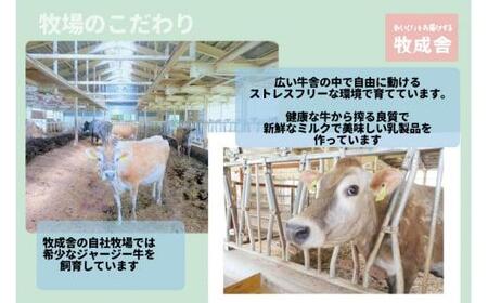 【 6ヶ月 定期便 】飛騨の牛乳屋こだわり （牛乳 3本 飲むヨーグルト 2本 セット）×6回 低温殺菌 6回 無添加 牧成舎 飛騨高山 TR3335