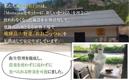 【定期便３回】飛騨高山野菜『おおごっつぉ』詰合せ 葉物野菜 葉物 ミックスリーフ わさびな フラワーサラダ 無農薬野菜 無農薬 HS101