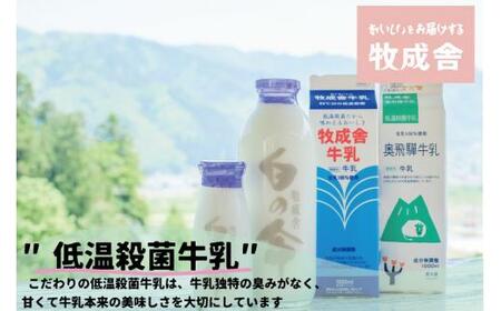 定期便 牛乳 (6本 × 12か月 ) 飛騨産生乳100％  牧成舎 美味しい低温殺菌牛乳6本 全 12回  乳製品 飛騨   TR3749