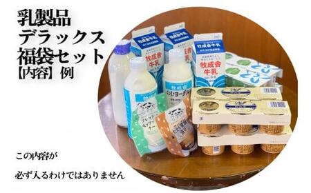 乳製品 福袋 デラックスセット 乳製品 ヨーグルト 牛乳 種類おまかせ セット 詰合せ  牧成舎 DF004