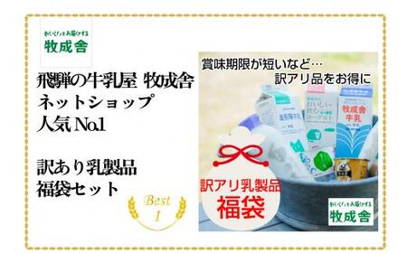 乳製品 福袋 デラックスセット 乳製品 ヨーグルト 牛乳 種類おまかせ セット 詰合せ  牧成舎 DF004