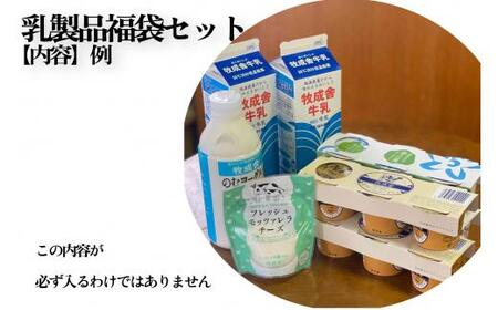 乳製品 福袋 ヨーグルト 牛乳 種類おまかせ   詰合せ 牧成舎 TR3754