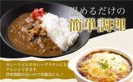 【3ヶ月以内発送】飛騨牛カレー(160g×25袋) | 訳あり ご当地 ビーフ レトルト 人気 飛騨高山 ふるさと清見 DC008VC13