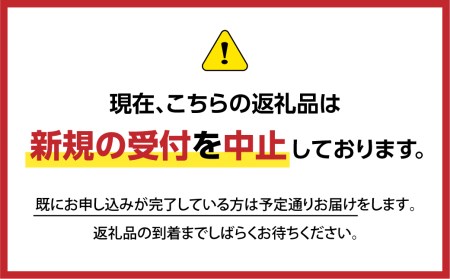 定期便 高山市まるごと定期便 スイーツづくし 全6回 6ヶ月お届け 宿儺かぼちゃプリン 米粉シフォンケーキ アイスクリーム 米粉ロールケーキ バナナのタルト おやつ デザート 飛騨高山 お取り寄せ 500円 Tr3966 岐阜県高山市 ふるさと納税サイト ふるなび