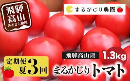 【2025年予約受付】【定期便 3ヶ月】＜全3回（8～10月 毎月1回）＞ 飛騨高山産 トマト 『麗月』1.3kg | とまと tomato 事前予約 産地直送 夏 野菜 飛騨高山 まるかじり農園 FW100