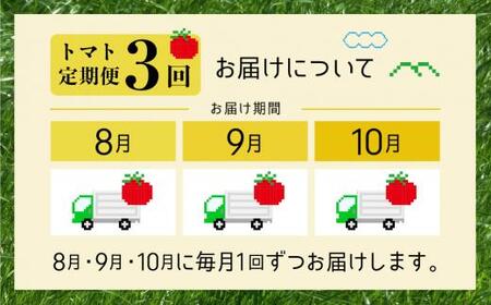 【2025年予約受付】【定期便 3ヶ月】＜全3回（8～10月 毎月1回）＞ 飛騨高山産 トマト 『麗月』1.3kg | とまと tomato 事前予約 産地直送 夏 野菜 飛騨高山 まるかじり農園 FW100