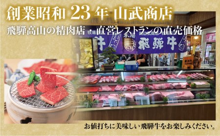 飛騨牛 ロース 食べつくしセット 900ｇ (ステーキ /焼肉  薄切り すき焼き / しゃぶしゃぶ ) 山武商店 TR3970