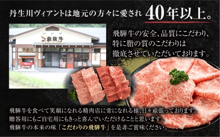 2種食べ比べ焼肉！飛騨牛 A5等級 ( サーロイン250ｇ＋赤身もも 250ｇ) 500g 丹生川精肉 TR4018