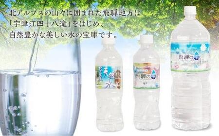 【6回 定期便】天然水 飛騨の雫 500ml×48本 (2ケース) ミネラルウォーター ミネラルウォーター 水 ペットボトル 飲料水 500ミリリットル 白啓酒店 飛騨高山 JS102