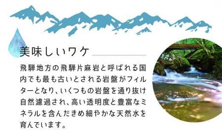 【6回 定期便】天然水 飛騨の雫 500ml×48本 (2ケース) ミネラルウォーター ミネラルウォーター 水 ペットボトル 飲料水 500ミリリットル 白啓酒店 飛騨高山 JS102