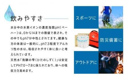 【6回 定期便】天然水 飛騨の雫 500ml×48本 (2ケース) ミネラルウォーター ミネラルウォーター 水 ペットボトル 飲料水 500ミリリットル 白啓酒店 飛騨高山 JS102