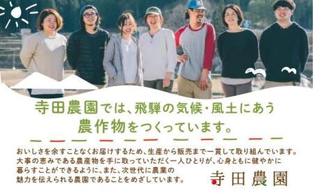 庄兵衛さん家のジュース１L×6本セット　リンゴジュース りんごジュース 人参とりんごのジュース 砂糖不使用 すりおろしりんご入り  寺田農園  TR4186