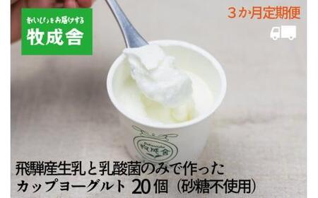 <牧成舎定期便 3カ月>飛騨の牛乳屋 牧成舎 生乳100%砂糖不使用プレーンヨーグルト20個 朝食におすすめ 無糖ヨーグルト プレーンヨーグルト 砂糖不使用 生乳ヨーグルト 乳製品 DF119