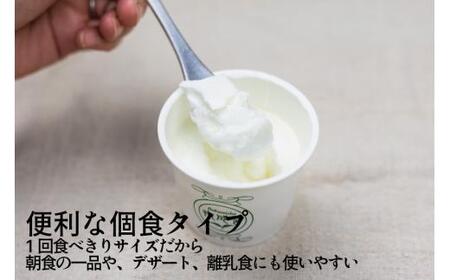 【6か月定期便】生乳100％ 砂糖不使用 プレーンヨーグルト 20個 牧成舎 朝食におすすめ 無糖ヨーグルト プレーンヨーグルト 砂糖不使用 生乳ヨーグルト 乳製品 DF111