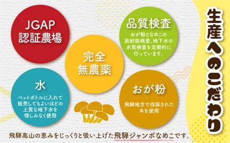 飛騨ジャンボなめこ約180g×10パック入り 国産なめこ きのこ 生なめこ 大きい ジャンボサイズ なめ茸 希少 珍しい  鍋 日付指定可 なめこファーム  KN002