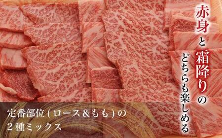飛騨牛 焼肉 2種食べ比べ ( 肩ロース / もも )500g | A5等級 牛肉 和牛 ブランド牛 雌牛 牝牛 バーベキュー キャンプ 飛騨高山 肉の朝日屋 JX013