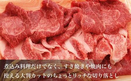 A5等級 飛騨牛 ちょっとリッチな 切り落とし 460ｇ( 飛騨牛もも / 肩肉 )   飛騨高山 肉の朝日屋  ブランド牛 和牛   牛丼 すき焼き TR4222  