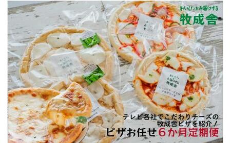 【6カ月定期便】飛騨の牛乳屋 牧成舎 お任せチーズたっぷりピザセット ピッツァ 種類お任せ マルゲリータ 洋風トマト 和風山椒 お任せ 定期便 モッツアレラチーズ 乳製品 DF115 12,480円