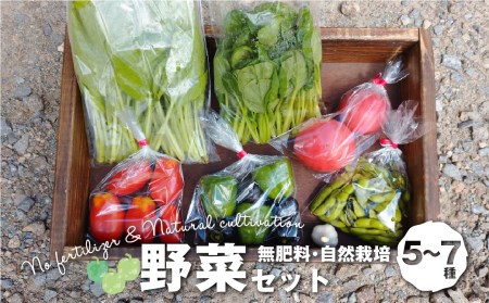 【数量限定】無肥料 自然栽培 野菜セット 5～7種 やさい 野菜詰合せ 秋野菜 /  産地直送 詰合せ セット 新鮮野菜 amrita農園 KM001