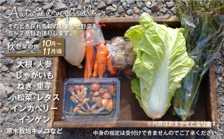 【数量限定】無肥料 自然栽培 野菜セット 5～7種 やさい 野菜詰合せ 秋野菜 /  産地直送 詰合せ セット 新鮮野菜 amrita農園 KM001