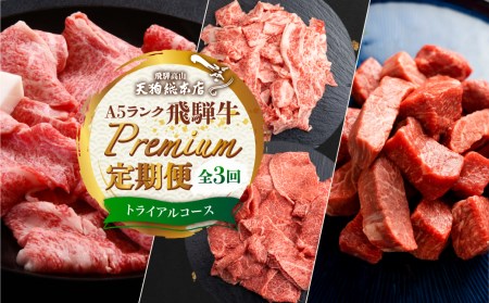 天狗総本店 A5 飛騨牛 定期便 3回 1.3kg ( 300g 以上 × 3ヶ月