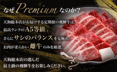 天狗総本店 A5 飛騨牛 定期便  3回  1.3kg ( 300g 以上 × 3ヶ月 )  ( サイコロステーキ 霜降 赤身 切り落とし すき焼き) | 肉 牛肉 食べ比べ 岐阜 高山市 飛騨高山 岐阜県 人気 お楽しみ おすすめ BP100〔国産和牛定期便  牛肉定期便 ステーキ  飛騨牛定期便〕