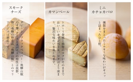 スモークチーズ セット ブロック3種 カマンベール ミニカチョカバロ ( スモークチーズブロック ・ カマンベールチーズ ・ ミニカチョカバロチーズ ) 飛騨高山 TABIBITO TR4444