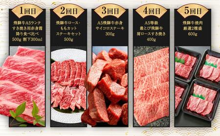 【定期便 全10回 】飛騨牛| 牛肉 定期便 ZZ017