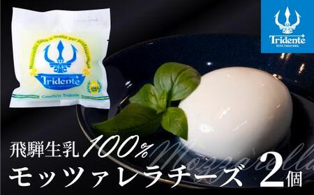 飛騨生乳100％ モッツァレラチーズ 2個（1個125g）| チーズ モッツァレラ 冷蔵 個包装 カプレーゼ パスタ ピザ 前菜 サラダ 新鮮 生乳 国産 低温殺菌 乳製品 無添加 飛騨高山 トリデンテ リアライン  LF001