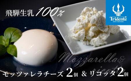 【寄附額見直しました！】飛騨生乳100％ モッツァレラ 2個（1個125g）& リコッタ 2個（1個100g）| セット チーズ モッツァレラ リコッタ 冷蔵 個包装 パスタ ピザ サラダ 低温殺菌 新鮮 国産 乳製品 無添加 飛騨高山 チーズ工房トリデンテ LF005