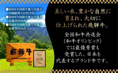 A5等級 飛騨牛トロブロック 400g（約100g×4） 炙り握り寿司用 | 肉 牛肉 ひだ牛 牛 トロ ブランド牛 黒毛和牛 霜降り 冷凍 飛騨高山 ながせ食品 FH008
