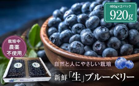 岐阜県(高山市)】【定期便】治助ファームの北部ハイブッシュ