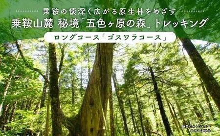 2025・26年度シーズン 乗鞍山麓 秘境「五色ヶ原の森」トレッキング  ロングコース「ゴスワラコース（所要8時間）」大人2名分 | 観光 森 自然 ガイド 案内 ツアー トレッキング 飛騨高山 乗鞍山麓五色ヶ原の森 MK003