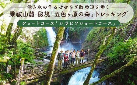 岐阜県(高山市)】2025・26年度シーズン 乗鞍山麓 秘境「五色ヶ原の森