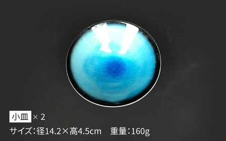 【美濃焼】 パスタ皿 ・ 小皿 各2枚 計4点 (つや有) 【東山窯】食器 深皿 [TDU022]