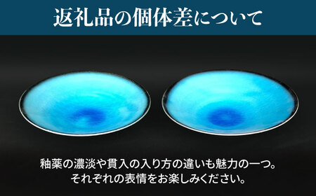 【美濃焼】 パスタ皿 ・ 小皿 各2枚 計4点 (つや有) 【東山窯】食器 深皿 [TDU022]