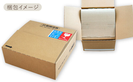 【美濃焼】[軽量食器] TLPリムバンド ブルー 10インチ プレート×4枚 セット【井澤コーポレーション】食器 大皿 [TBP115]