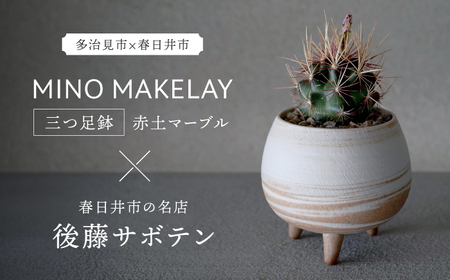 多治見市×春日井市コラボ 【美濃焼】 MINO MAKELAY 三つ足鉢 赤土マーブル × 【日本有数のサボテンの生産地】 春日井市の名店 後藤サボテン 【井澤コーポレーション】[TBP161]
