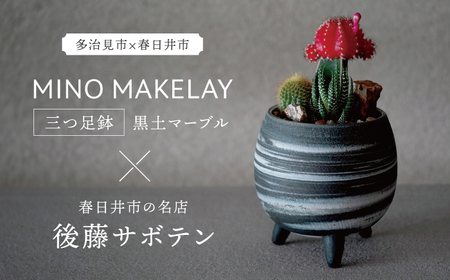 多治見市×春日井市コラボ 【美濃焼】 MINO MAKELAY 三つ足鉢 黒土マーブル × 【日本有数のサボテンの生産地】春日井市の名店 後藤サボテン 【井澤コーポレーション】[TBP162]