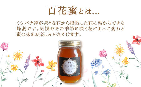 美濃蜂蜜 百花蜜 600g ディスペンサー 付き ギフトセット 【マンモスハウス合同会社】 はちみつ 非加熱 国産[TEW008]
