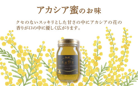 美濃蜂蜜 アカシア 600g ディスペンサー 付き ギフトセット 【マンモスハウス合同会社】 はちみつ 非加熱 国産[TEW010]