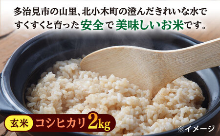 先行予約 【令和6年産新米】 玄米 コシヒカリ 特別栽培米 （2kg） + 【美濃焼】 青輝貫入 マグカップ （2個） 【山松加藤松治郎商店】[TEU026]