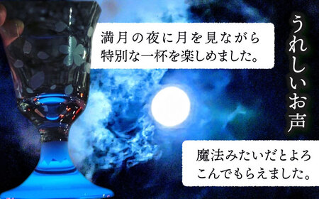 グラス 桜舞う富士 3点 セット   多治見市/片岡ケース製作所 光るグラス お祝い グラス 日本酒 [TAH008]