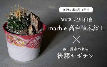 多治見市×春日井市コラボ 【美濃焼】 陶芸家「北川和喜」 marble 高台植木鉢 L × 【日本有数のサボテンの生産地】 春日井市の名店 後藤サボテン 【井澤コーポレーション】[TBP172]